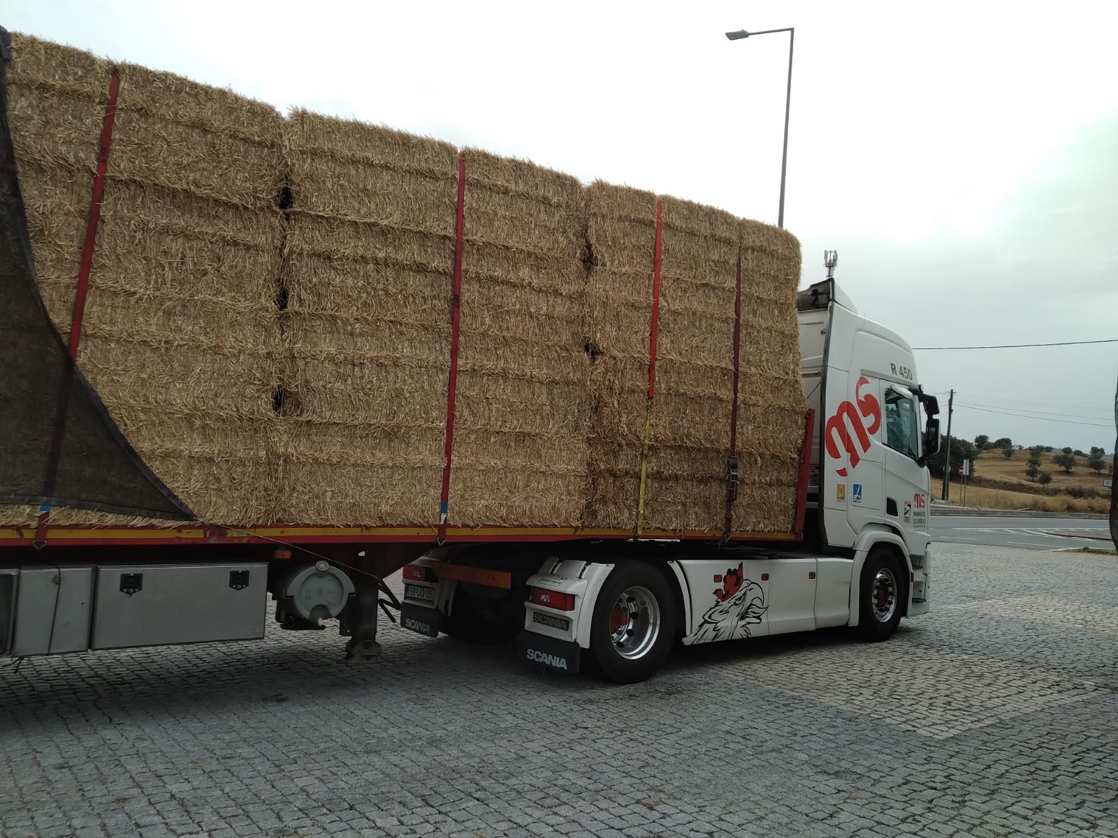 plataformas-abertas-carga-geral (3)